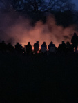 IMG_9253.jpg
