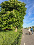 natur 2.jpg